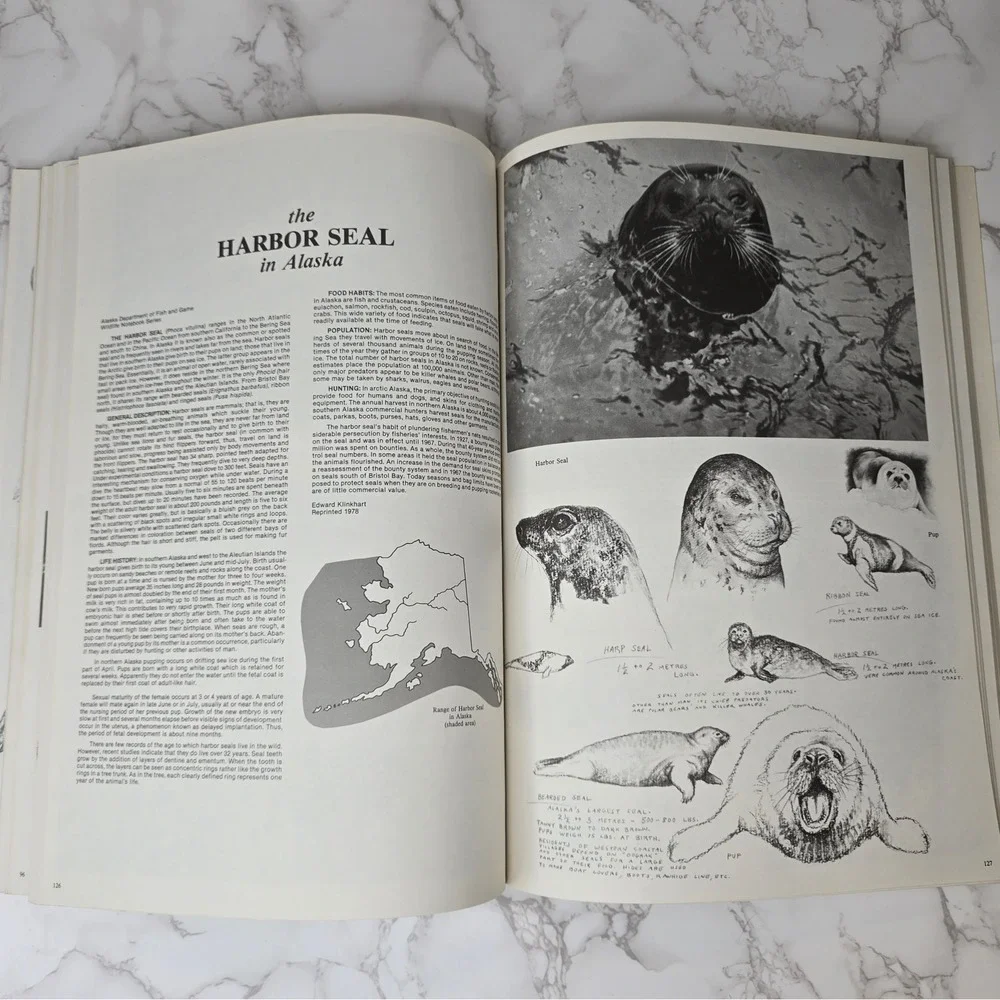 Signed Doug Lindstrands Alaskan Sketchbook 6th Ed 1983 Wildlife Art Photo Guide